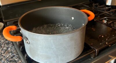 Frog in the Boiling Water