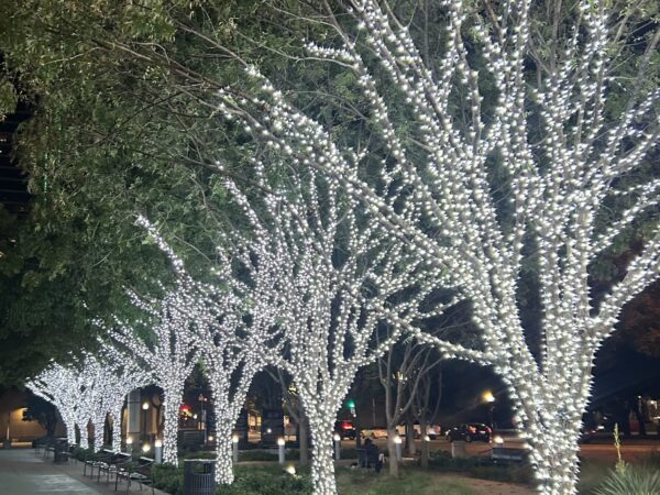Keeping True to Self: Being Intentional During the Holiday Season