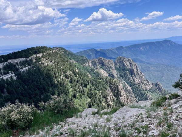 Living in the Wilderness: A Desert of Life or a Desert of Despair