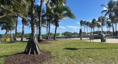 All Things Borrowed…