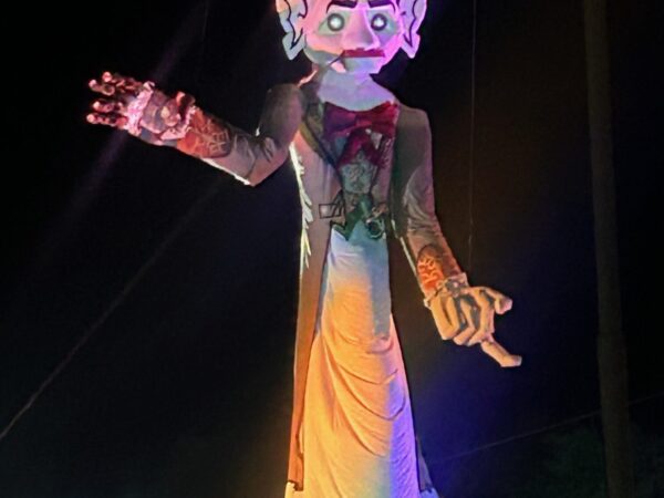 Letting Go: The Spirit and Ritual of Zozobra