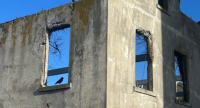 Playing Pretend: Reframing the Everyday in these dry bones