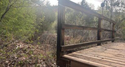 The Anxious Presence and the Gift of Peace and Being Called by Name